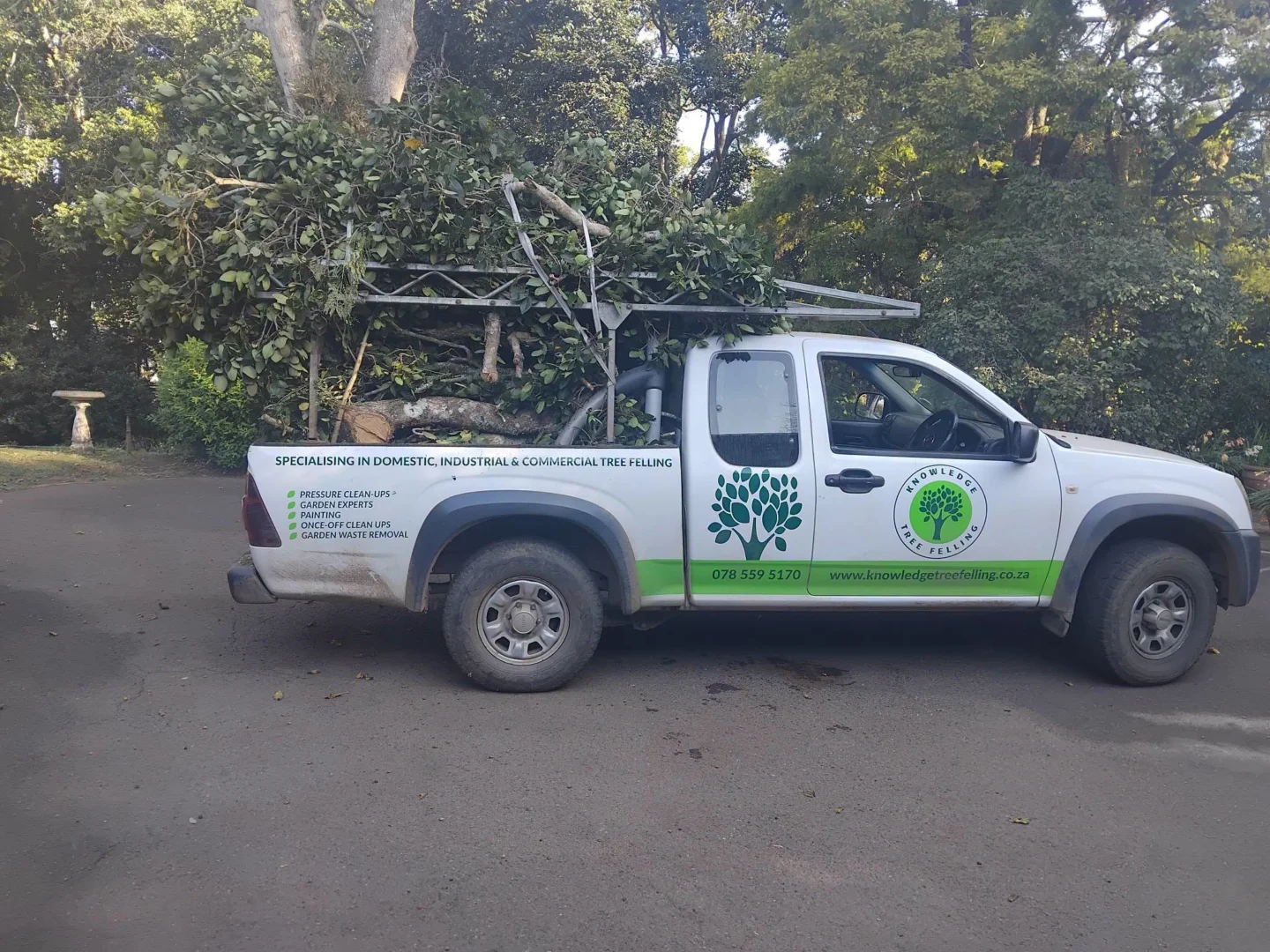Knowledge Tree Felling project gallery image 3